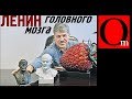 Ленин головного мозга не отпускает Россию