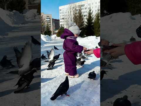 Наша зима за секунды длямамвдекрете выпискаизроддома буднисмалышом 