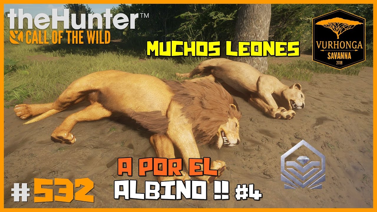 CAZANDO UN MONTÓN DE LEONES MACHOS - APARECE UN LEGENDARIO :3 | 🦌theHunter: CotW 