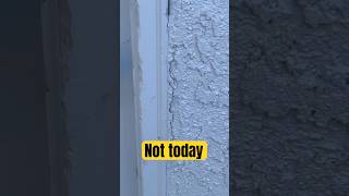 Almost caulked over THIS 😅 #diy #paintingtips #housepainting #howto #shorts #spider #whoops #caulk