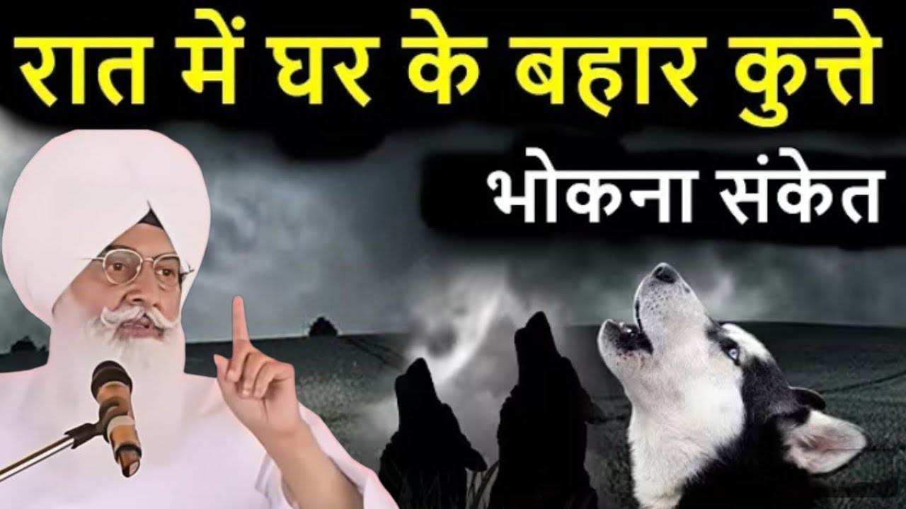 अगर दरवाजे पर कुत्ता आए तो भूल कर भी यह गलती मत करना ? ll Radha Swami Satsang ll RSSB New ll