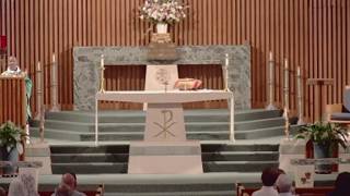 Daily Mass - Tuesday