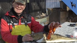 Man Finds Dildo Inside Fish