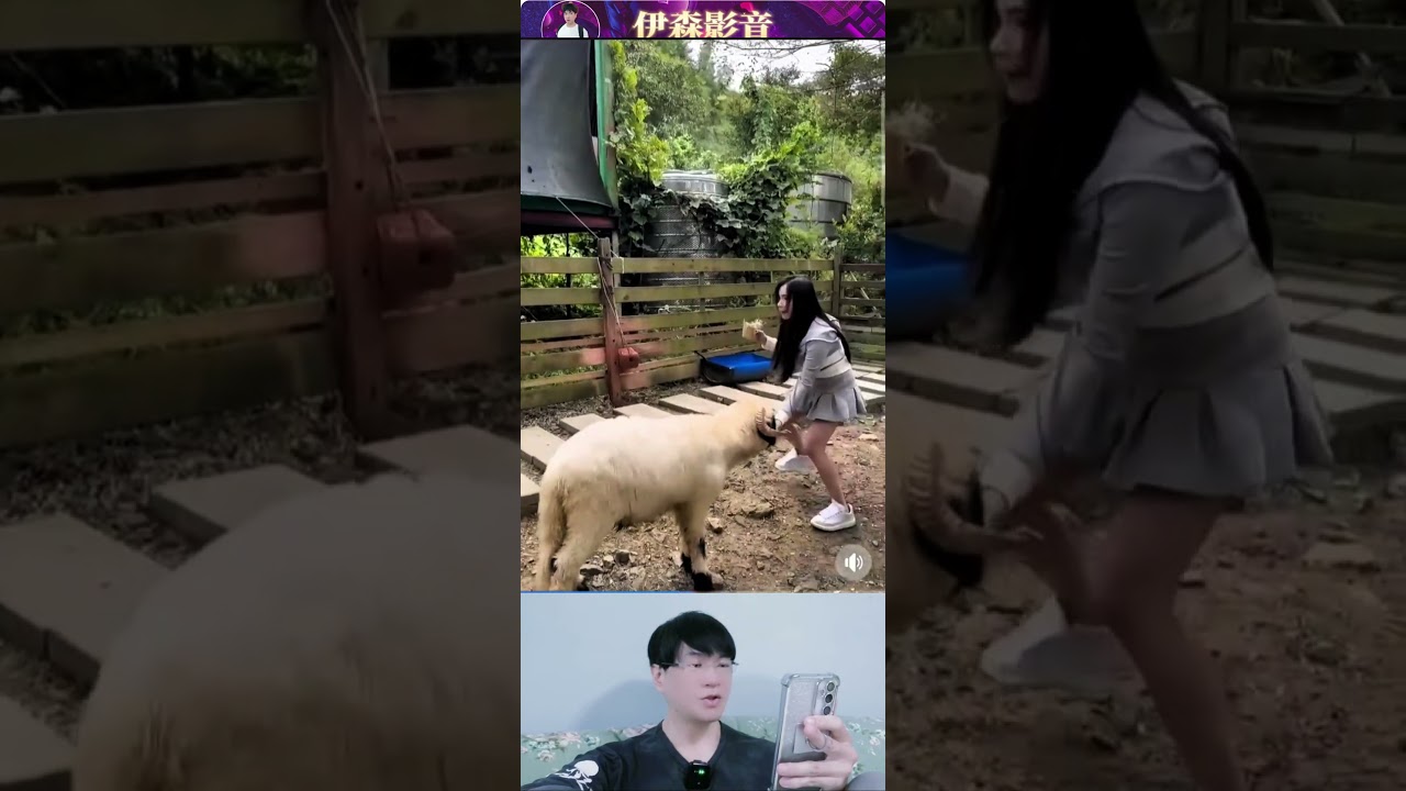 羊急了【伊森影音】