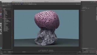 Generating ZBrush Texture & Displacement Maps for Rendering in Maya: Brain Coral - Chap1 Intro