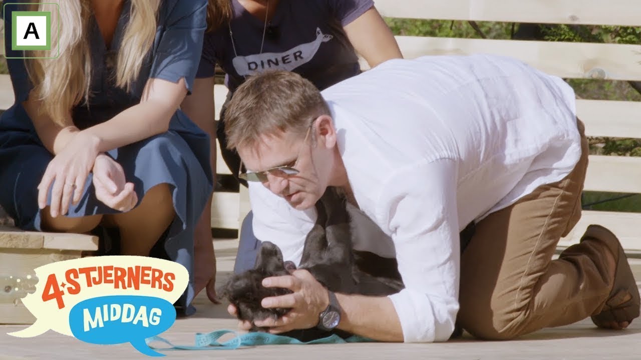 4-stjerners middag | Hunden til Jørgen Langhelle overrasker etter tur en på sykehuset | discovery+