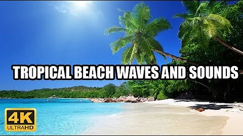 4k UHD Tropical Beach & Palm Trees on a Island, Ocean Sounds, Ocean Waves, White Noise for Sleeping.