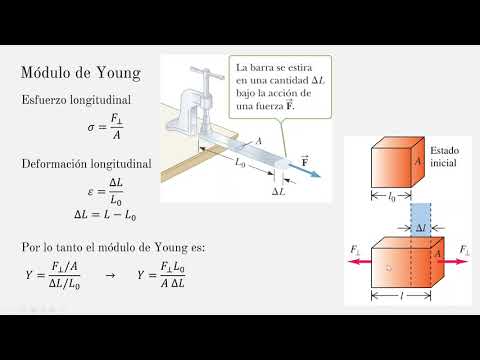 Elasticidad