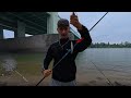 ANGELN am RHEIN mit KÖDERFISCH 🎣🐟