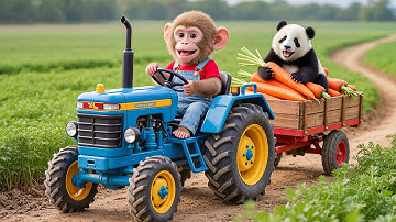 Monkey Nana Drives a Tractor and the Unexpected Adventure of the Giant Carrot - NANA MONKEY LIFE