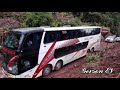 RUTA TINGO MARIA - PUCALLPA | BUSES DEL CENTRO Pasando carretera luego de Huayco