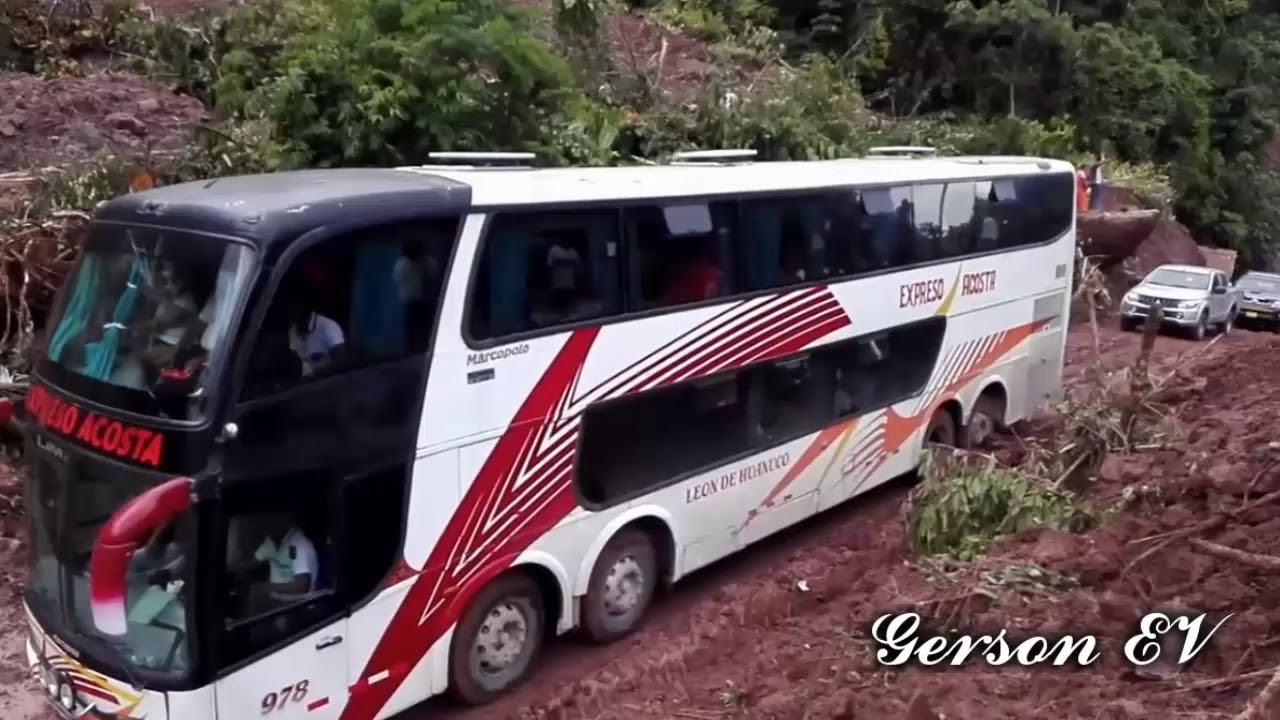 RUTA TINGO MARIA - PUCALLPA | BUSES DEL CENTRO Pasando carretera luego de Huayco