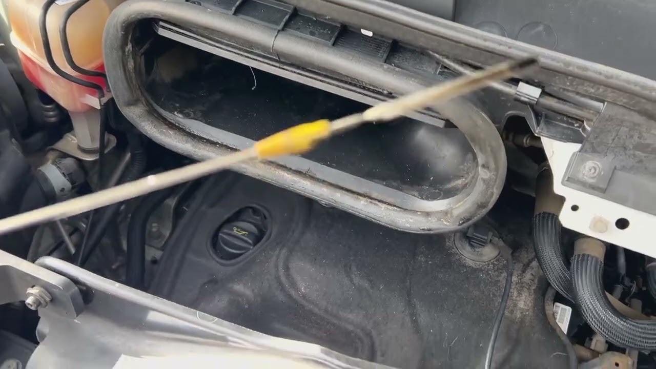 Hästlastbil stuterimodell PEUGEOT