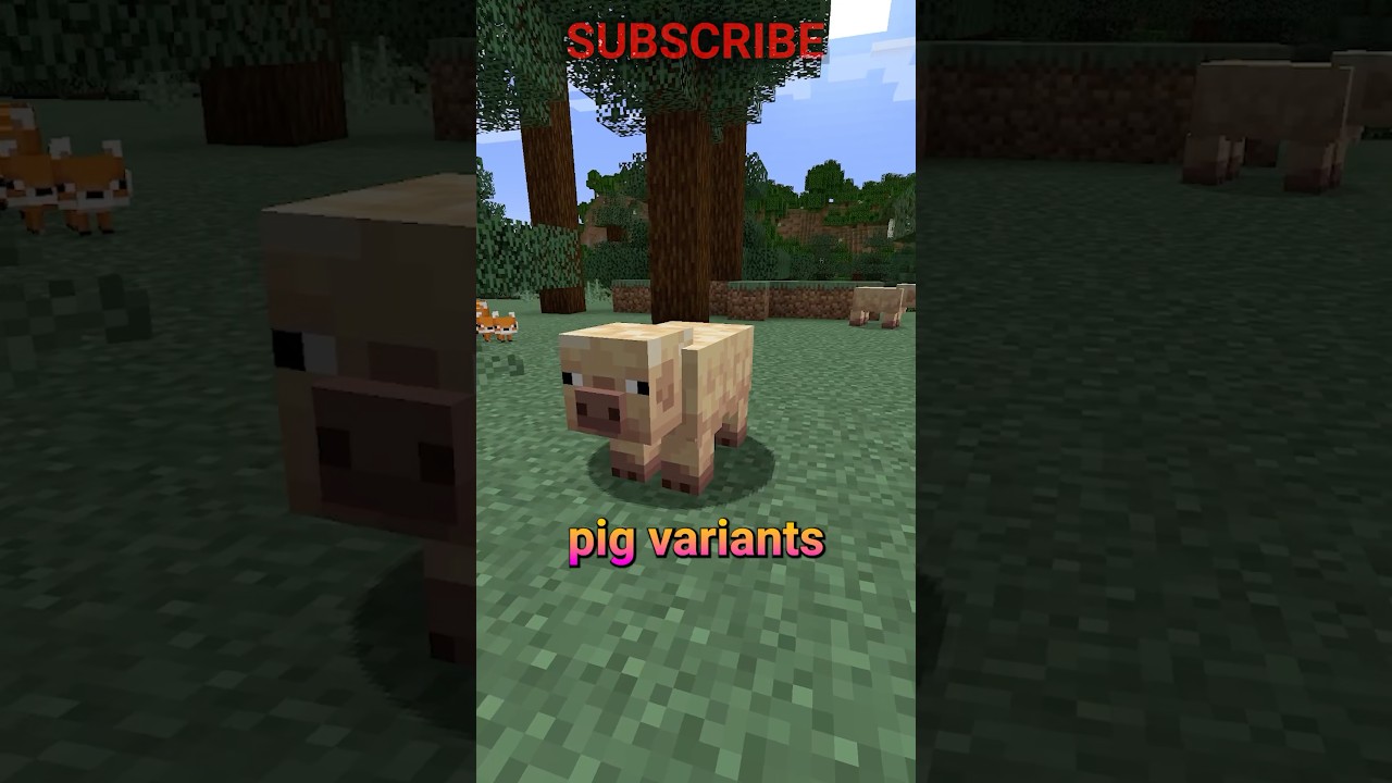 everything about the NEW SNAPSHOT