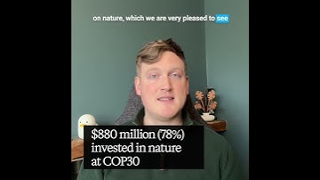 What happened at COP30