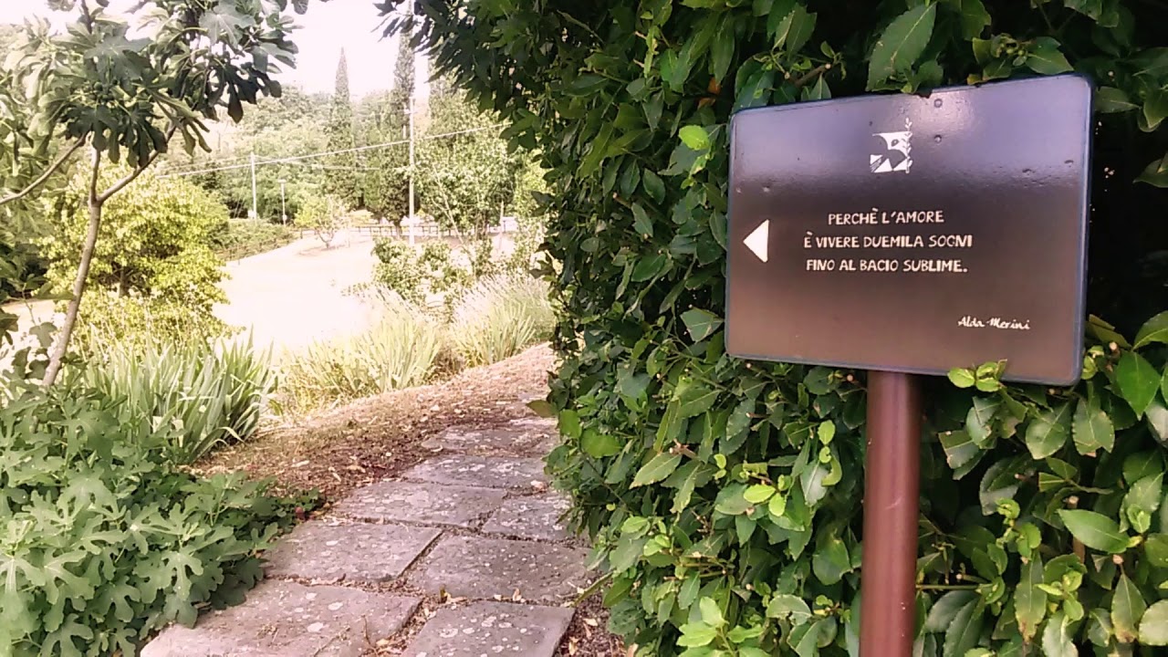 Disarmato Amore - Canto della Fraternità di Romena di Antonio Salis