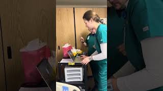 IMG 2825