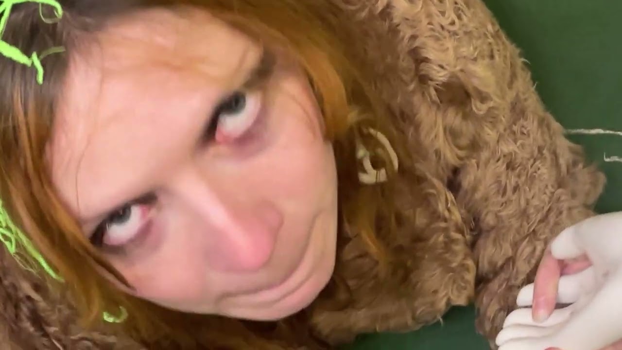 Sapņu Zeme Vlogs 2 / Dream Land Vlog 2
