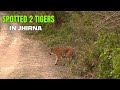2 Tigers In 1 Safari Our Experience At Jhirna Zone Jim Corbett