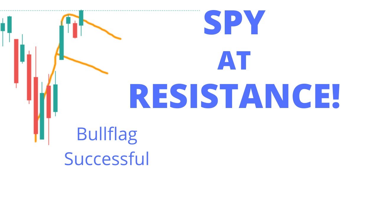 What Does The Green Line Flag Mean The Blue Monkey Restaurant Pizzeria