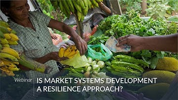 Webinar: Is Market Systems Development a Resilience Approach?