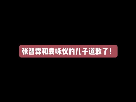 张智霖和袁咏仪的儿子道歉了！