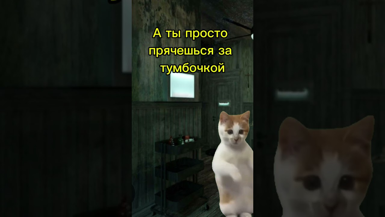 Хоррор квест и кот