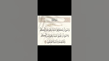 الاية ٢١٦ من سورة البقرة بتلاوة عطرة للقارئ الشيخ #مشاري_العفاسي #تلاوة_خاشعة #quran #qoran_karim