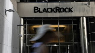 AI Stocks in Focus in BlackRock’s 2024 Mid-Year Outlook