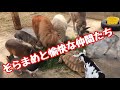 そらまめ未公開映像③