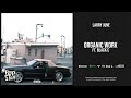 Larry June Organic Work Ft Black C Numbers mp3