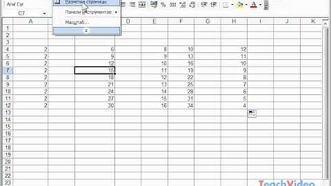 Виды отображения таблиц в Microsoft Excel 2003 (38/49)