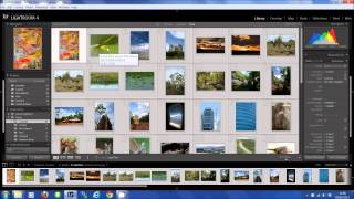 redrex Portfolio Getting Started Guide for Lightroom screenshot 1