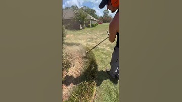 String Trimmer Lawn Edging Liriope #lawncare #shorts #grasscutting #entertainment #lawncarelife