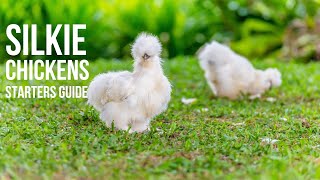 UNIQUE features about Silkies in 5 minutes