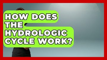 How Does the Hydrologic Cycle Work? | Water Science For Everyone News