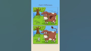 Find 5 Differences #shorts #shortvideo #puzzle #game #challenge