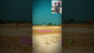 #cricket 🏏 I’m Chorsa king 👑 of 🍾🍾🍾🏏❤️💕🫶🏻