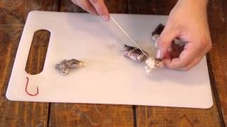 How to Use Squid For Bait | Fishing Tips
