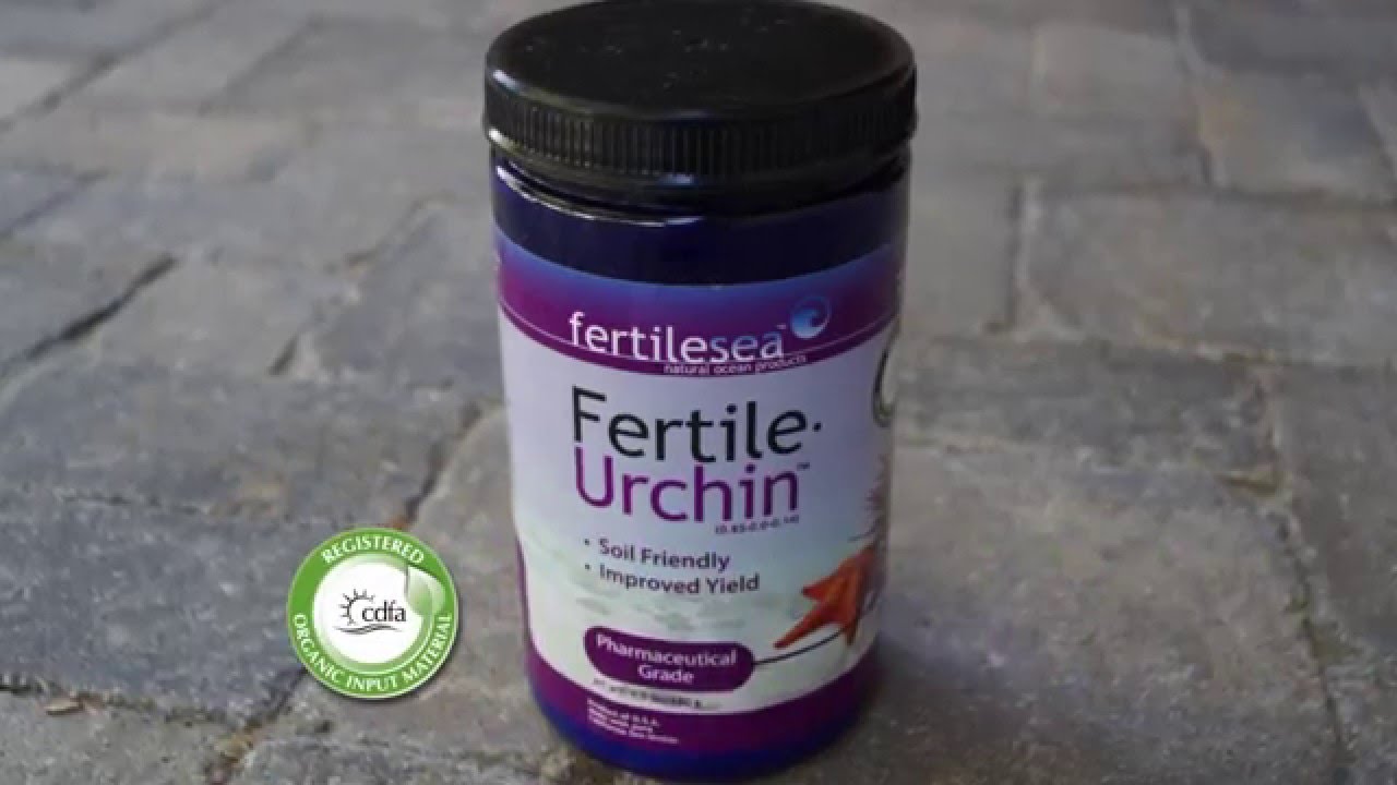 Fertile Urchin EcoFriendly Plant Boosters YouTube