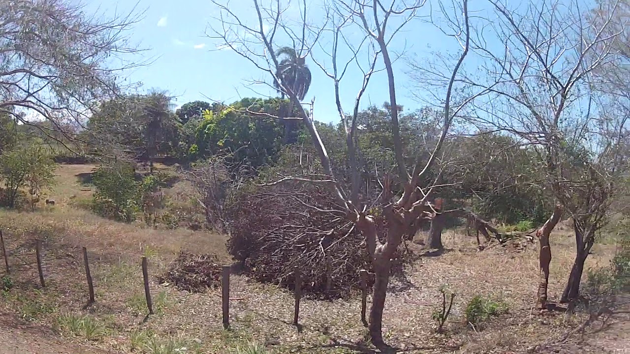 Costa Rica - Tropical Train Ride