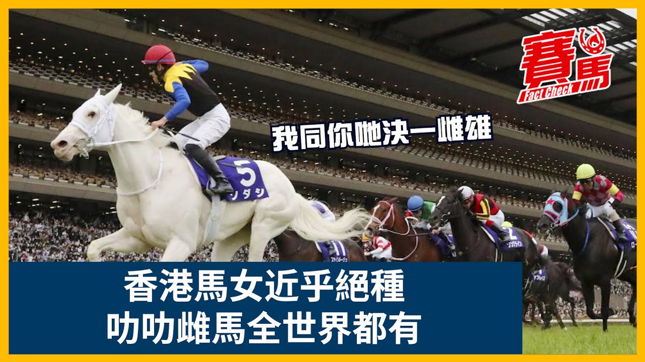 Hkjc頂級馬女勝威旺贏香港打吡灰馬東成西就同靚蝦王串q夠叻女 日本三冠馬王杏目香港馬迷最愛澳洲魚子精華25戰全勝 香港雌馬特別少天時地利外仲關馬主事 Cc中文字幕 賽馬factcheck Youtube
