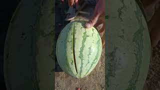 Amazing Watermelon Cutting Tricks ✨ | Creative Kitchen Fruit Ideas