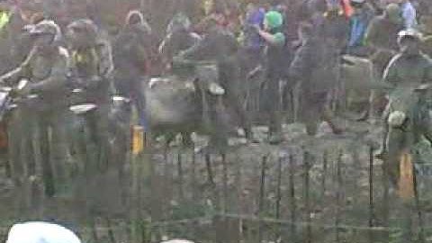 Wild and Woolly 2009