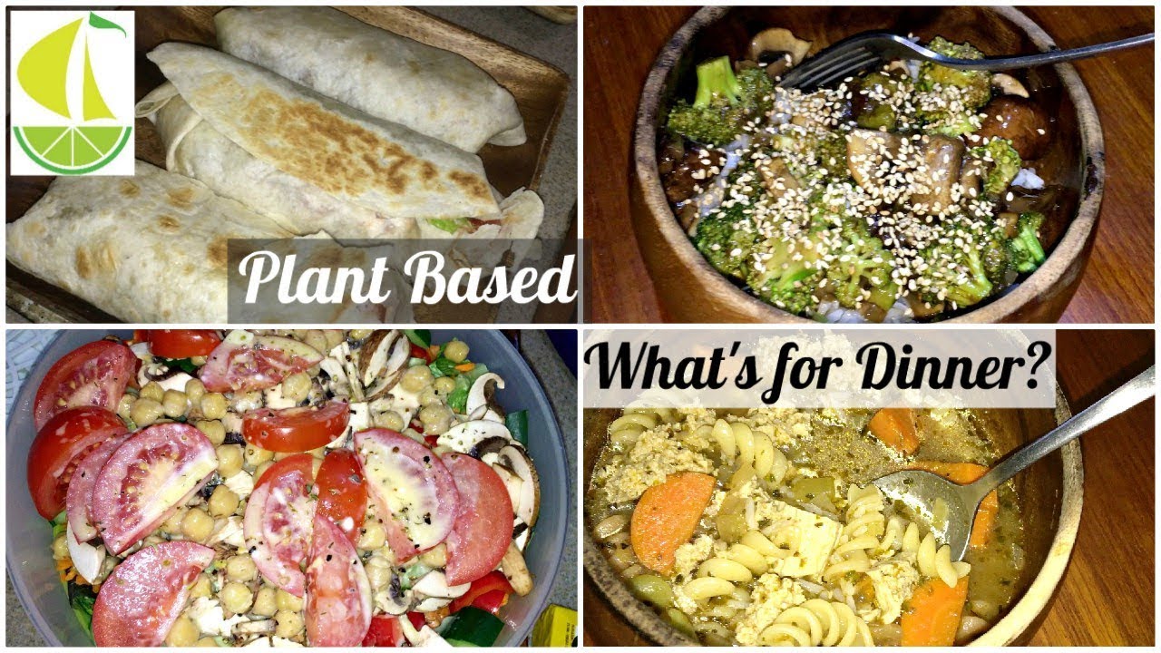What's for Dinner? - Galley Cooking | PLANT BASED