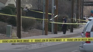Task force aims to tackle state's crime problem