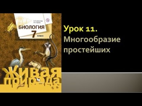 Биология 7 класс. Урок 11