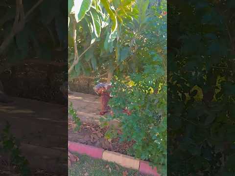 في مدينة النخيل    اكسبلور 