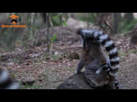 Anja Park, Ambalavao (Madagaskar)