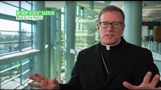 Bishop Barron on the Register . . .